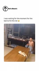 170K views · 3.1K reactions | Table tennis  | Pet's Store's | Facebook