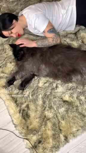 A Look at Zeus the Big Black Maine Coon Cat