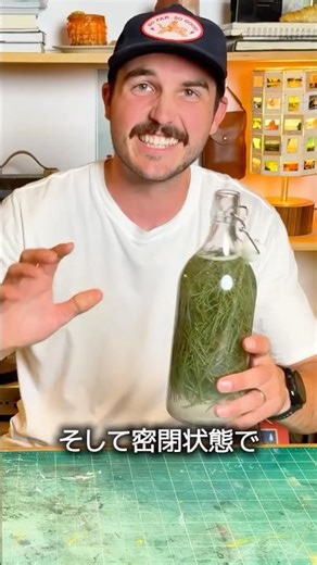 How to make cider with pine needles