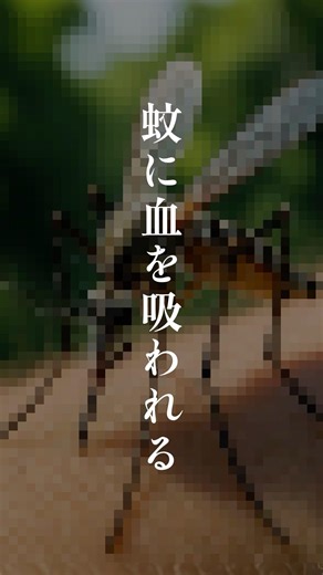 【ゆるく課題解決】蚊に血を吸われる