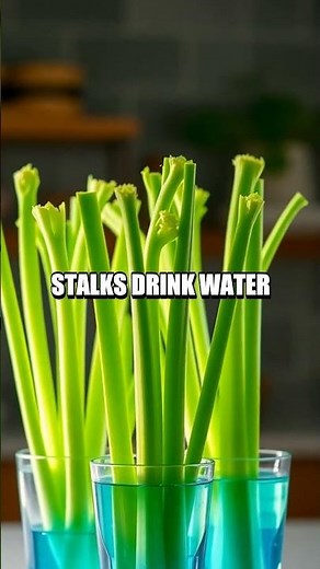 Home Science Adventures You Can Try Tonight Without Special Gear