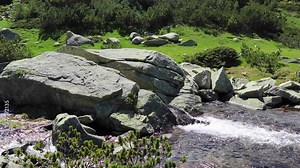 Mountain creek, pure natural water spring. A stream flows down the rocks, no people.
