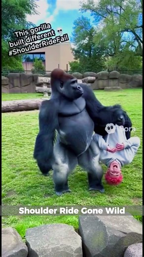 Shoulder Ride Gone Wild #funny #prank