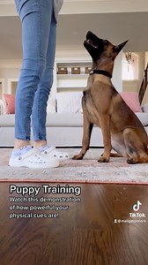 Physical cue is first. Verbal command comes later. | MaligatorMom