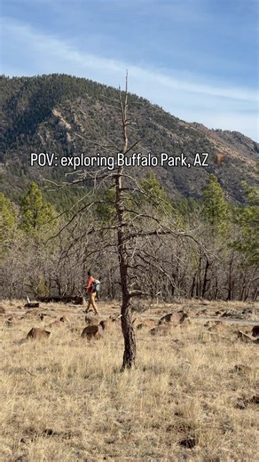 Exploring Buffalo Park in Flagstaff, Arizona. A peaceful hike surrounded by mountains, silence, and endless skies. 📍 One of those places that reminds you how powerful nature really is. Save this for your next road trip through the American West. #americanwest #flagstaffarizona #roadtripusa #hikinglife #travelinspiration