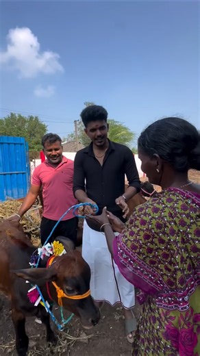 பாலா கொடுத்த பொங்கல் பரிசு ்#kpybala #tvk #thalapathy #vijay #ttt #pongal