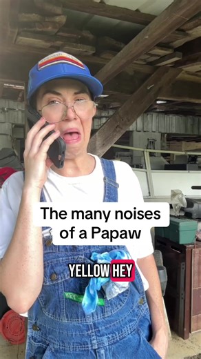 Exploring the Sounds of a Southern Papaw