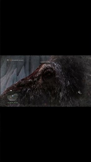 Legendary Mammoth Battle! 🐘🔥 #farcryprimal