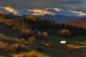 Early Spring [1956] movies dvdrip