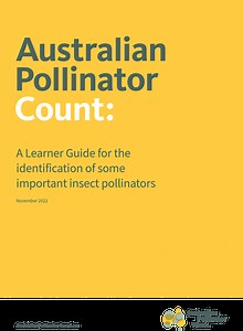 Australian Pollinator Count Learning Guide and Quiz – Australian Pollinator Week