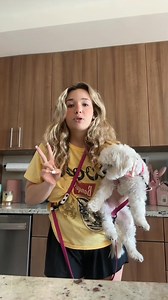 18K views · 182 reactions | Best leashes ever for dogs that dont know how to walk straight #tourettesawareness #tourettessyndrome | Baylen Dupree | Facebook