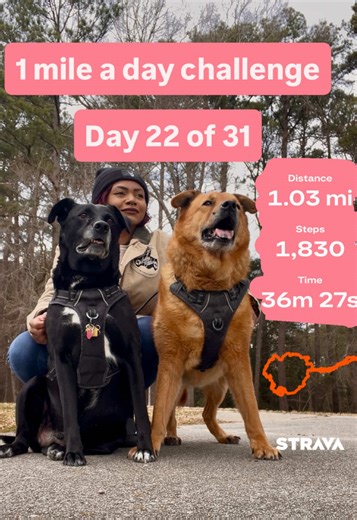 Week 21 — day 145 of half marathon training: a mile a day challenge! Half marathon training with @strava. Will be attempting to run 9-10 miles on Saturday before the snow storm! #runtok #runner #runners #runningmotivation #dogsoftiktok