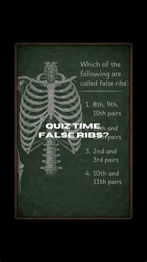 NCERT Question: Identify the False Ribs 🦴