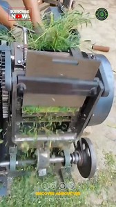 Introducing the latest innovation in farming technology - the fodder chopping machine! 🌾 This revolutionary equipment is designed to efficiently cut and shred green fodder for livestock, making feeding easier and more cost-effective. Say goodbye to manual labor with this time-saving solution that provides consistent feed sizes for optimal animal nutrition. Invest in a fodder chopping machine today and streamline your farming operations like never before! 🌱🐄 #farmingtechnology #livestockfeedin