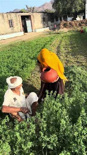 मटके का पानी पीने से पेट की चर्बी कम होती है