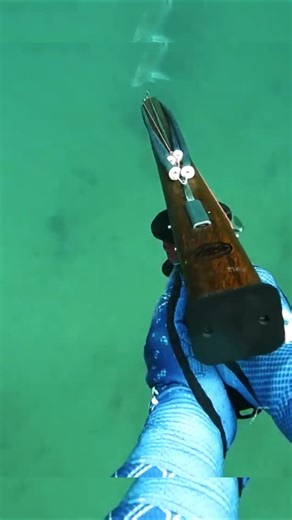 He Caught a Giant Red Emperor Snapper Using a Bow and Arrow! 😳