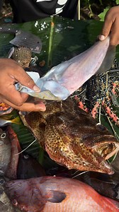 179K views · 631 reactions | Masarap to kilawin | Idol Ytang | Facebook