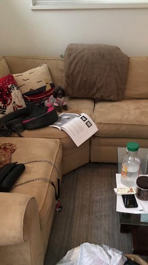 The worst dog of all time #dog #foryou #dogs #fyp #doggy #rich