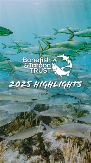 At Bonefish & Tarpon Trust, we’re working hard every day to ensure a healthy and sustainable future for the flats fishery. And thanks to your support, we’ve made significant progress in the past year. Together, we’ve advocated successfully to protect a bonefish spawning aggregation in the Florida Keys, advanced mangrove restoration in The Bahamas, stood with partners to prevent the development of Will Bauer Flat in Belize, and helped secure historic funding to restore Florida’s Everglades. But t
