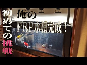 【鯉・金魚】初めてのFRP水槽 完了