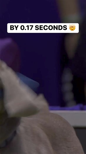 BIG DOG 🤝 Congratulations to Hogan, the 24” class agility champion by 0.17 SECONDS 🤯 | FOX Sports