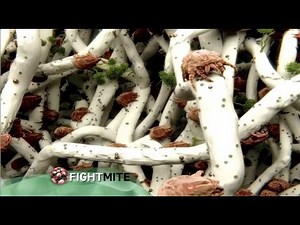 Fight Mite: Dust Mite Capture Pads
