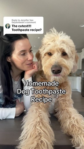 Vito & Luca on Instagram: "Homemade Dog Toothpaste Recipe 🐾 1 cup organic coconut oil (soft, not melted) 2 tablespoons baking soda 1/4 cup sea kelp 1 tablespoon finely chopped organic mint leaves I was starting to get some passion aggressive comments on our original video that shares me brushing Luca’s teeth…some about me not responding about sharing it and when would I share it and if I ever would share it 🙉🙈 so I thought I’d get this posted asap before the threats come in 😂😂 #dog #goldend