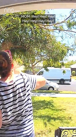 Dad of the year! 🙌 When the ice cream truck didn't stop, this dad stopped at nothing until he was able to get his daughter her favorite flavor— strawberry. 🍦🍓 | Ring