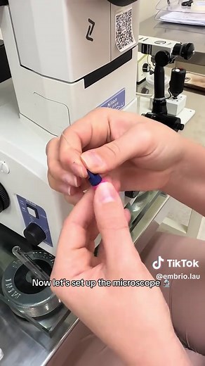 Understanding In Vitro Fertilization Techniques