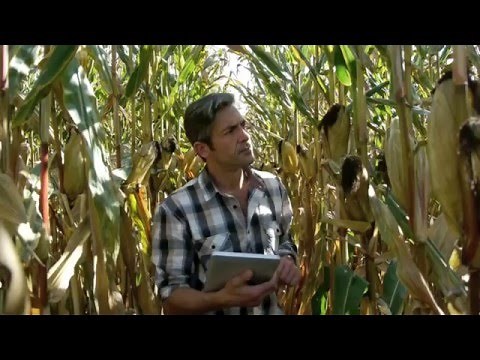 TwistDX: What is Recombinase Polymerase Amplification?