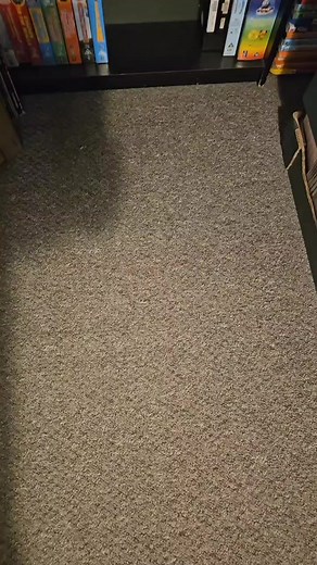 My Thomas The Tank Engine VHS collection at a quick glance. Some of these tapes cost me over £100 😳 #expensive #collection #vhscollector #vhscollection #vhs #vhstapes #thomasthetankengine #thomasandfriends #thomasthetankengineandfriends