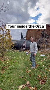 6.2K views · 33 reactions | Come inside the Animatronic, robotic, interactive Ai Orca, it’s totally weather proof | Peter Caine Dog Training | Facebook
