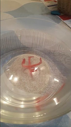 4D printing of grippers, thermal -Stimuli, Shape memory polymer, composites