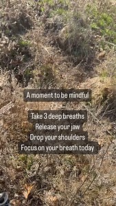 Daily Audio Bible on Reels