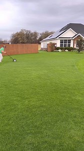 42K views · 169 reactions | Concrete Grass Creature | The Lawn Tools | Facebook