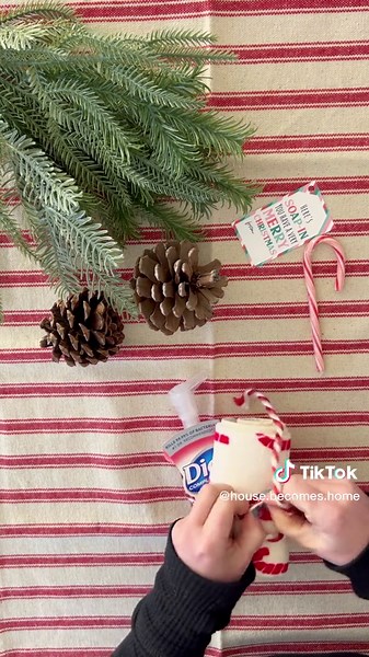 #ad Looking for a good and easy teacher, co worker or neighbor gift? @target and @dial have you covered!! Simply pair a cute dish towel with a Dial Antibacterial Foaming Hand Wash bottle and cute label! Perfect for this time of year. Dial is the #1 doctor recommended antibacterial hand soap brand! Dial has lots of good scents to choose from too, like Spring Water, Coconut Water, White Tea Berries, Power Berries and more! Kills 99.99% of bacteria encountered in a household setting. Skin Smart For