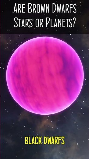 Are Brown Dwarfs Stars or Planets?