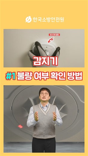 🚨 How to Check if a Detector Is Faulty?