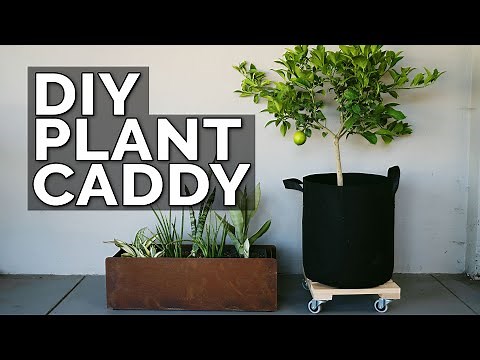 Build a DIY Plant Caddy for Under $30