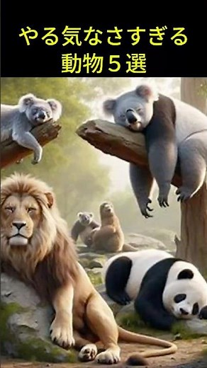 【めんどくさがり？】やる気のない動物５選 #雑学 #動物好き#プチ知識 #一分でわかる #animals