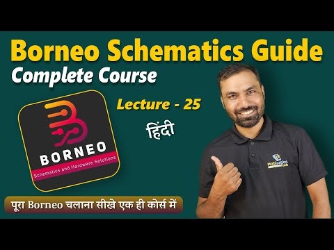Borneo Schematics - Complete Course (HINDI) | Lecture 25 | Borneo DataWorks