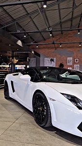 1.2K views · 32 reactions | D Golden Silly Season ------------------...