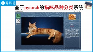 【鲲码园Python】基于pytorch的猫咪品种分类系统_演示