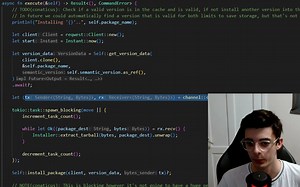 我用 Rust 构建了一个快速的软件包管理器