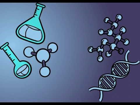 Bluey - DNA [Cartoon Irrelevant] Dog Tower