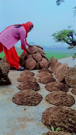 Seet Lehar (Dekh Le)❤️🌺🥰😘💫 by Filmy Ft. Tanu Rawat | Real Music Seet Lehar Filmy | Dekh Le Filmy