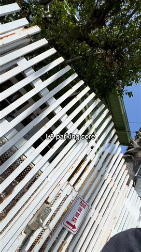 Parking Regulations and Restrictions Explained