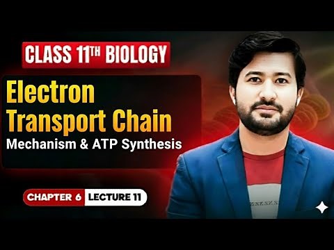 Electron Transport Chain Made Easy | Class 11 Biology & MDCAT Must Watch!