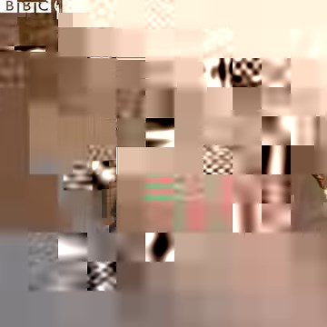 Does an orangutan have a sense of self? | BBC Earth