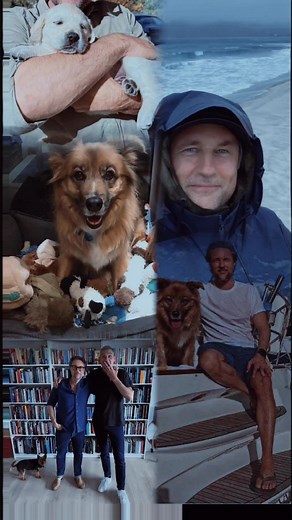 Martin Henderson on TikTok